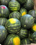 Pepene verde proaspăt din Grecia calitatea I, miez roșu intens crocant și zemos, cultivat în soare
