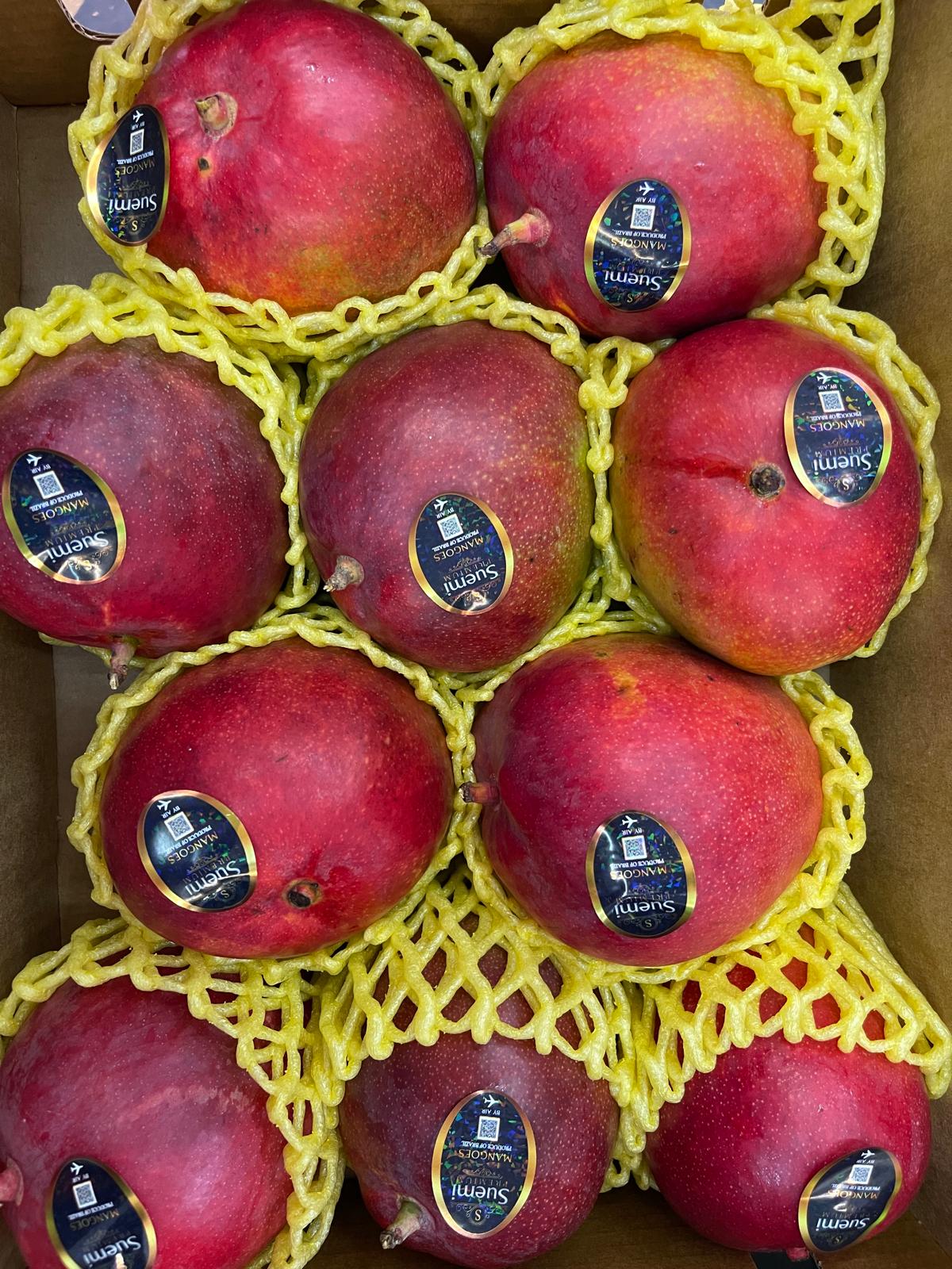 Mango Gold Ecuador proaspăt calitatea I, copt natural, gata de consum, textură cremoasă