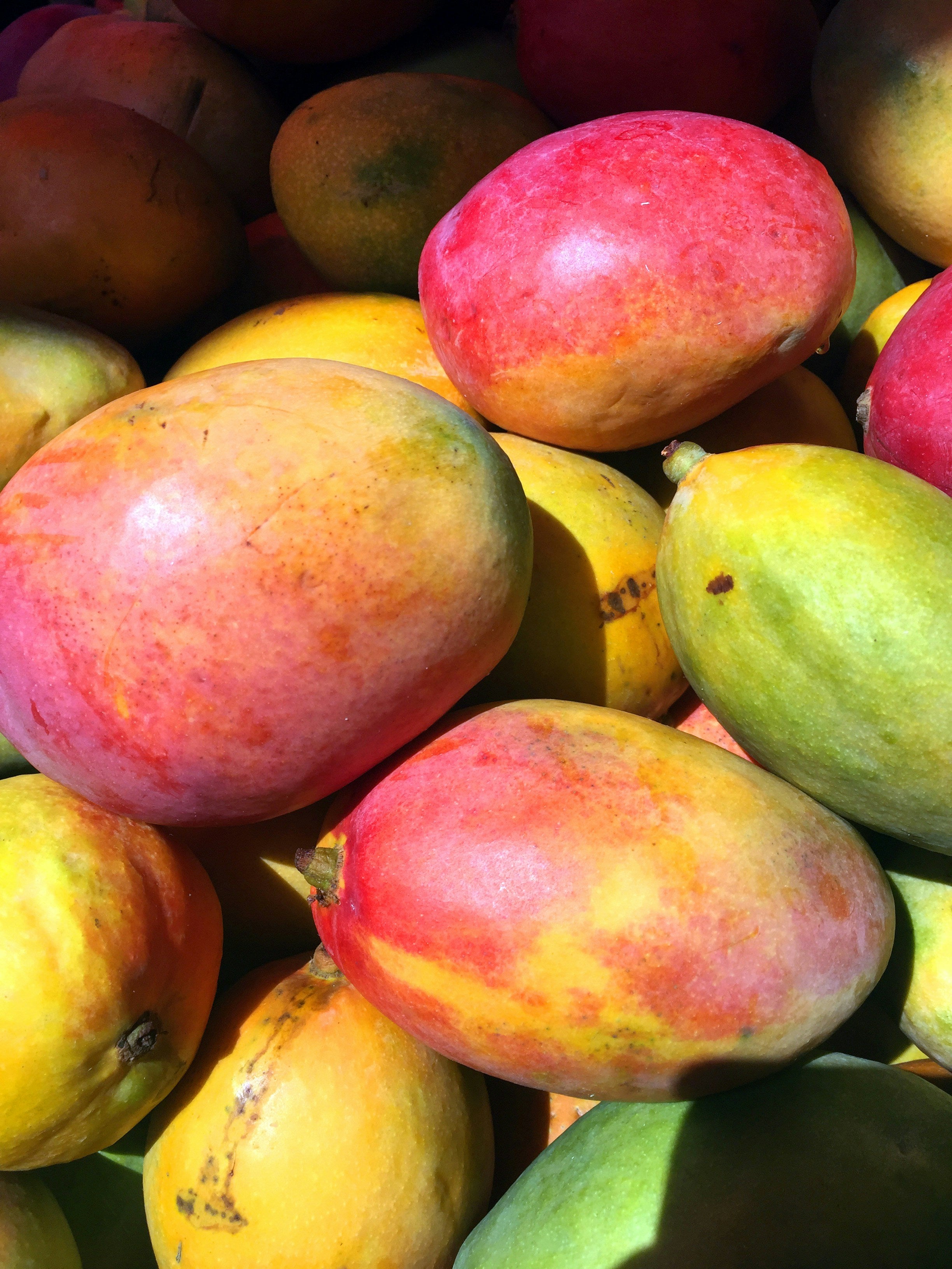Mango Gold tropical suculent, fără fibre, ideal pentru deserturi și salate exotice